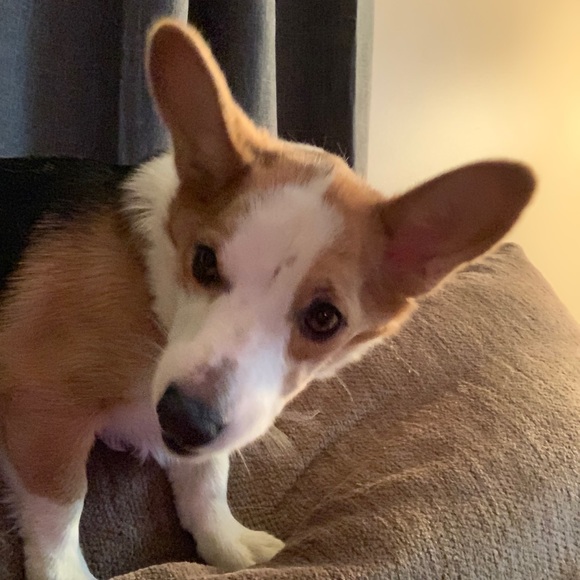 Meet your Posher, Emilie - Picture 1 of 1